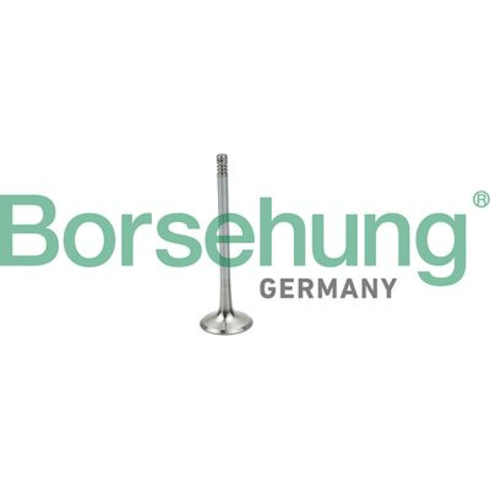 Клапан впускний BORSEHUNG b19025