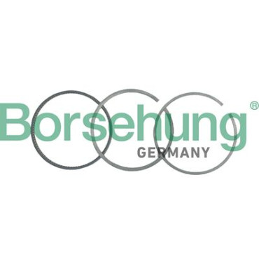 Кольца поршневые комплект 3 шт. BORSEHUNG b19041