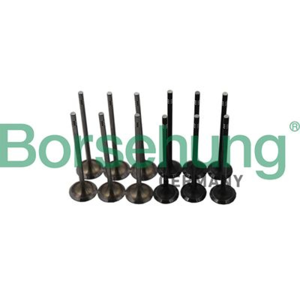 клапана к-кт 6*6 (04E109601+04E109611L) (OE) BORSEHUNG b19160