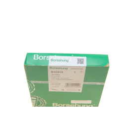Ланцюг приводу BORSEHUNG b1c015