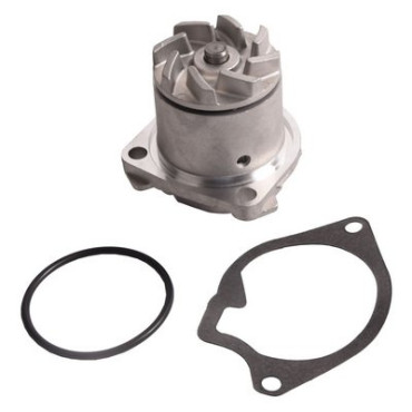 Насос BAPMIC bf0426350061