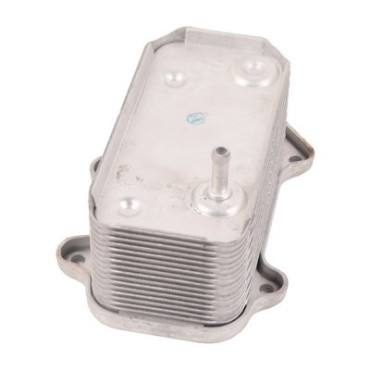 Радіатор оливний BAPMIC bf0426490091