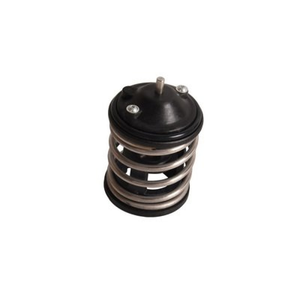 Термостат BAPMIC bf0426520049