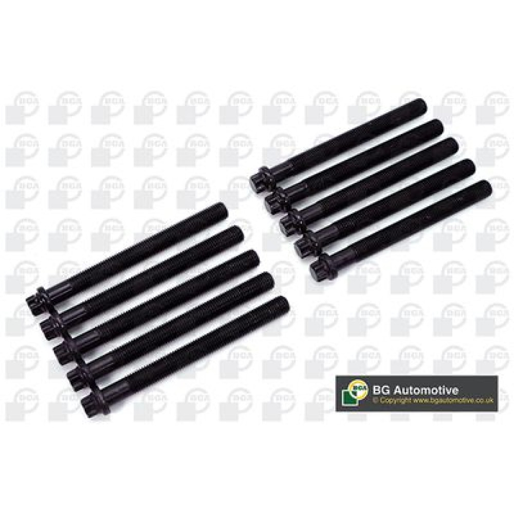 Болти головки блоку 1.9D Kangoo/Megane 97-03/Clio 98-05 (10 BGA bk5362