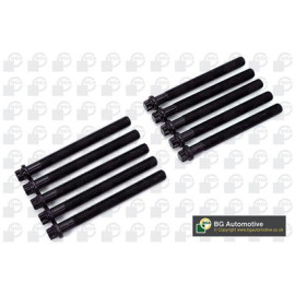 Болти головки блоку 1.9D Kangoo/Megane 97-03/Clio 98-05 (10 BGA bk5362