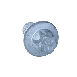 Болт АКПП Torx M10x1x17.5 F25 BMW 24407629873