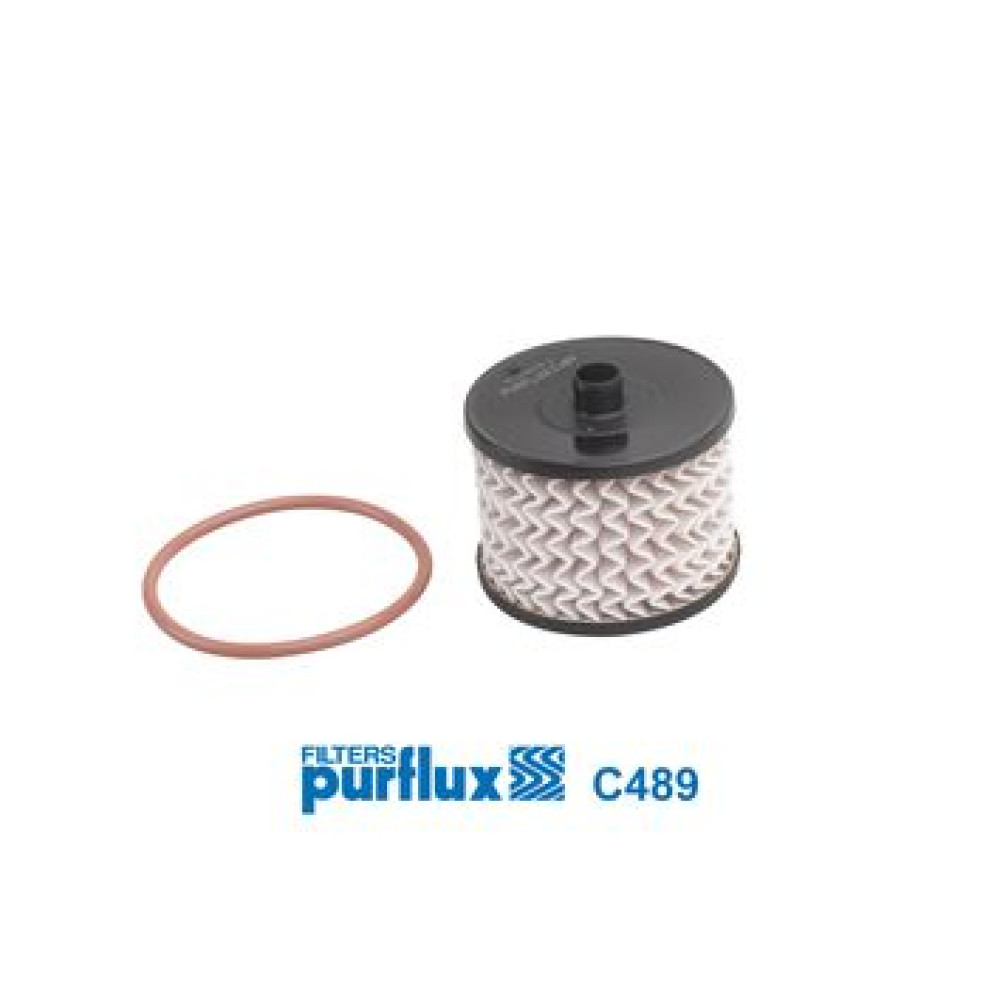 Фільтр паливний PURFLUX c489