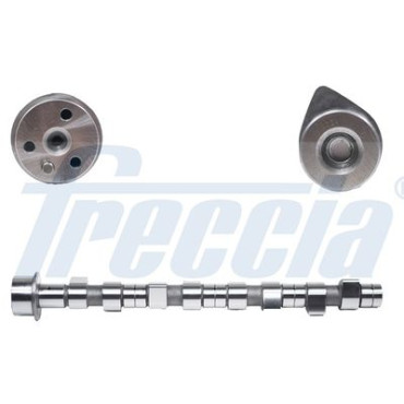 Распределительный вал FRECCIA cm052105