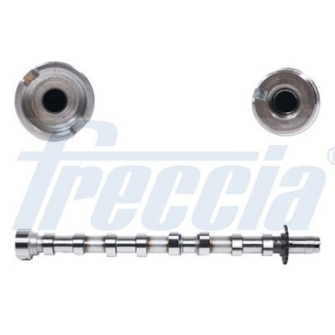 Распределительный вал FRECCIA cm052175
