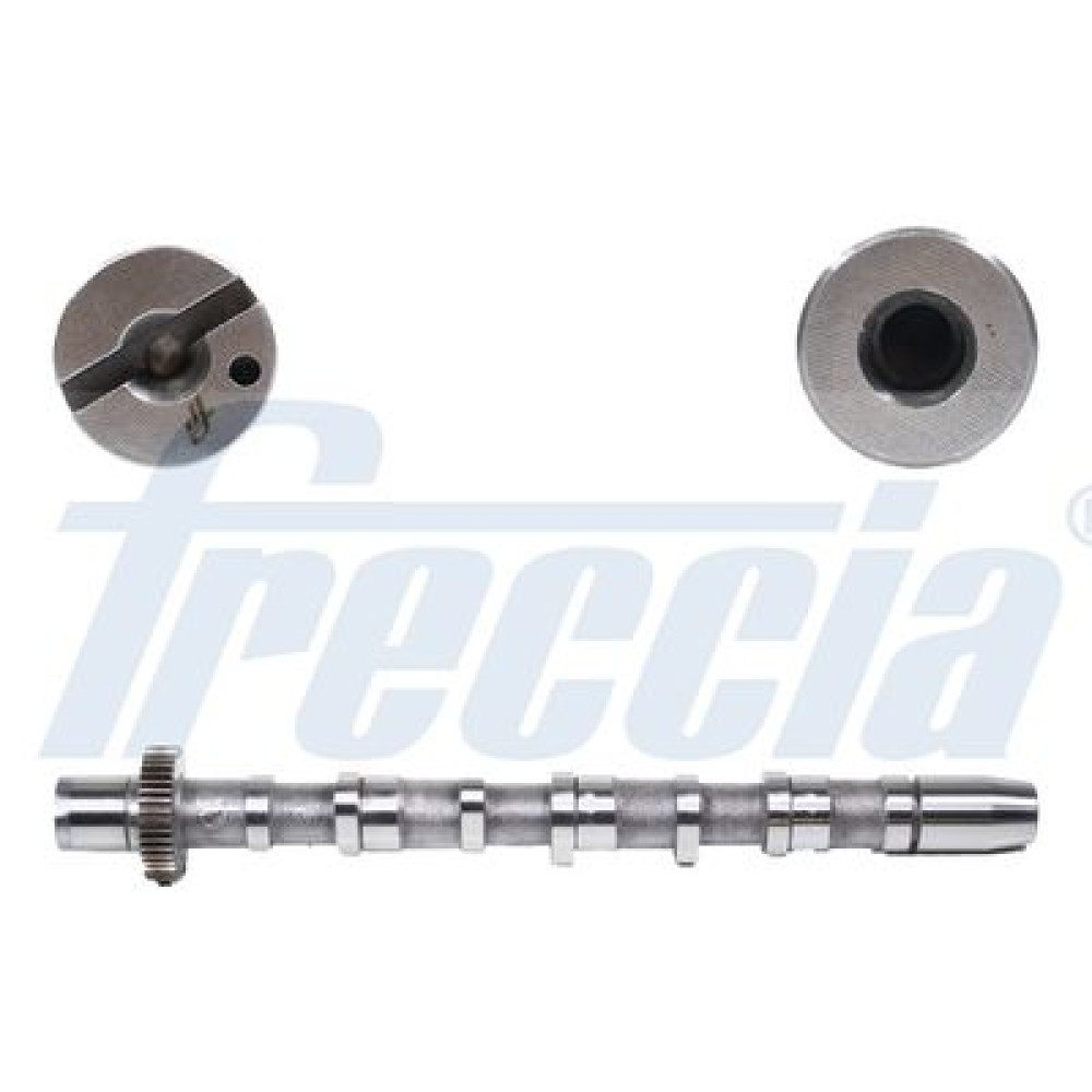 Розподільчий вал FRECCIA cm052189