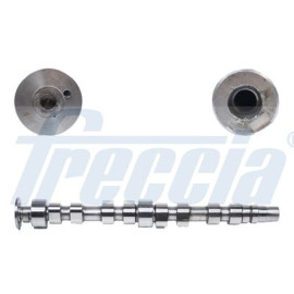 Распредвал FRECCIA cm052214