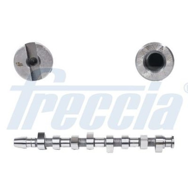 Распредвал FRECCIA cm052216