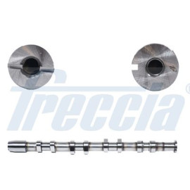 Вал распределительный FRECCIA cm052249