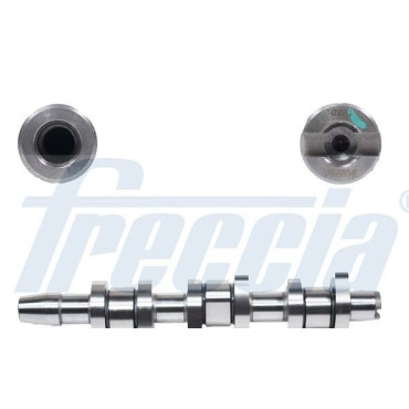 Вал распределительный FRECCIA cm052263