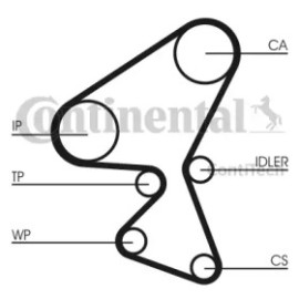 Ремінь ГРМ 1.6HDi Berlingo/Partner 05-/Jumpy/Expert 07-/Focus 04- CONTITECH ct1092
