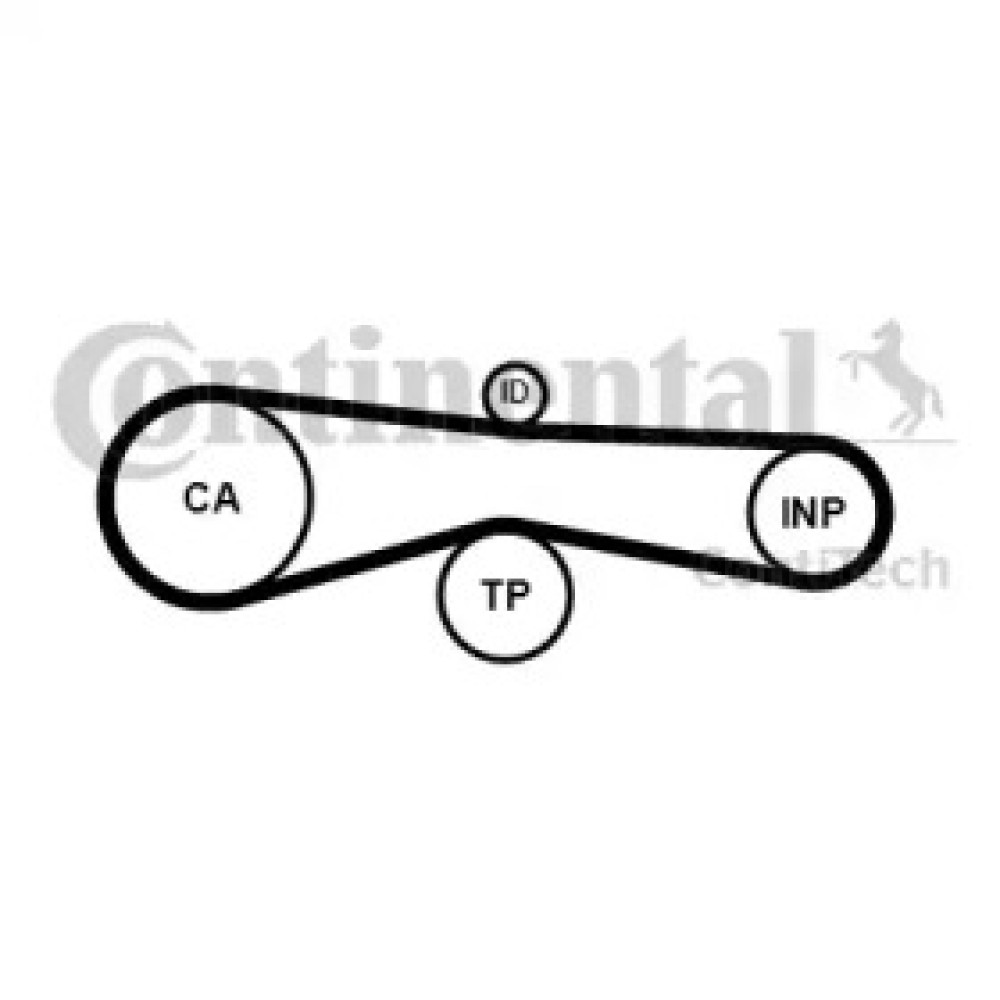 Ремінь ГРМ Porsche Cayenne 3.0 TDI 09-/VW Touareg 3.0 V6 TDI 04-18/Audi Q5/Q7 3.0TDI 06-15 (82x24) CONTITECH ct1131
