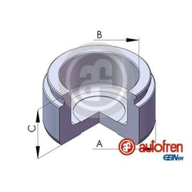 Поршень супорта 48*31mm AUTOFREN SEINSA d025489