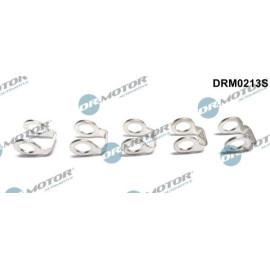Прокладка, топливопровод 5шт. Dr.Motor drm0213s