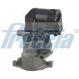 Клапан EGR FRECCIA egr12113