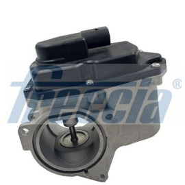 FRECCIA egr12123 Клапан EGR FRECCIA egr12123