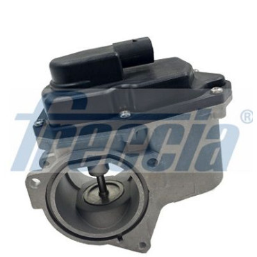 Клапан EGR FRECCIA egr12123