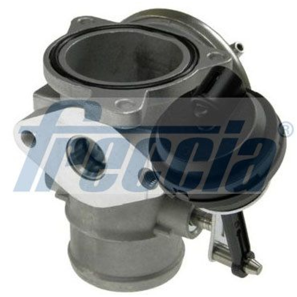Клапан EGR FRECCIA egr12165