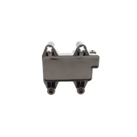 Катушка зажигания BOSCH f01r00a025