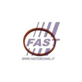 Кільце ущільнювальне патрубка інтеркулера FAST ft48932