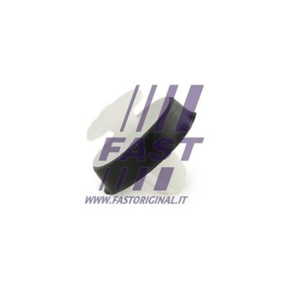 КЛИПСА Молдинга RENAULT MASTER III 10> Крепление FAST ft96309