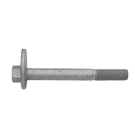 Болт з ексцентриком CTR gc0002