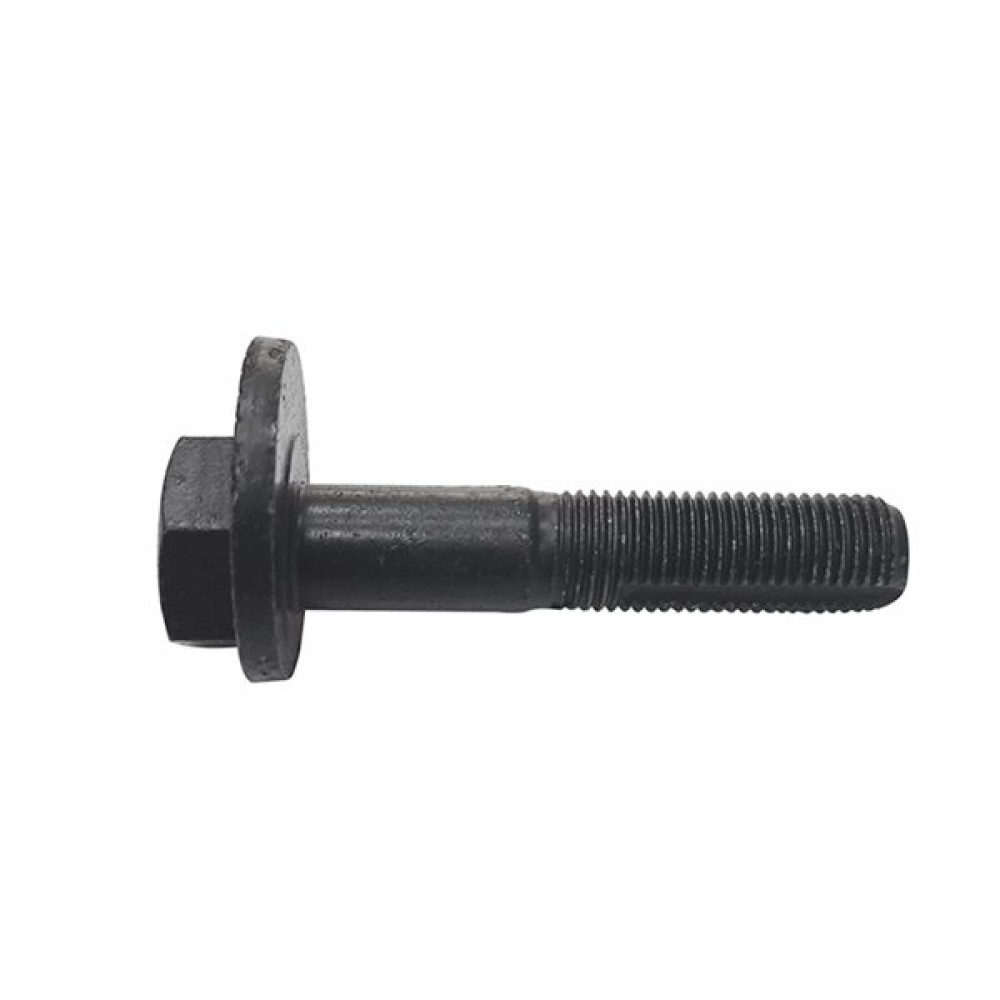 Болт з ексцентриком CTR gc0008