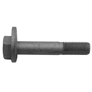 Болт з ексцентриком CTR gc0009