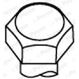Комплект болтов ГБЦ Payen hbs008