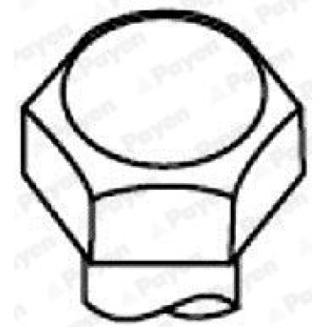 Комплект болтов ГБЦ Payen hbs008