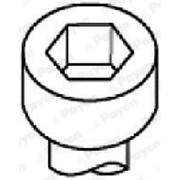 Комплект болтов ГБЦ Payen hbs036
