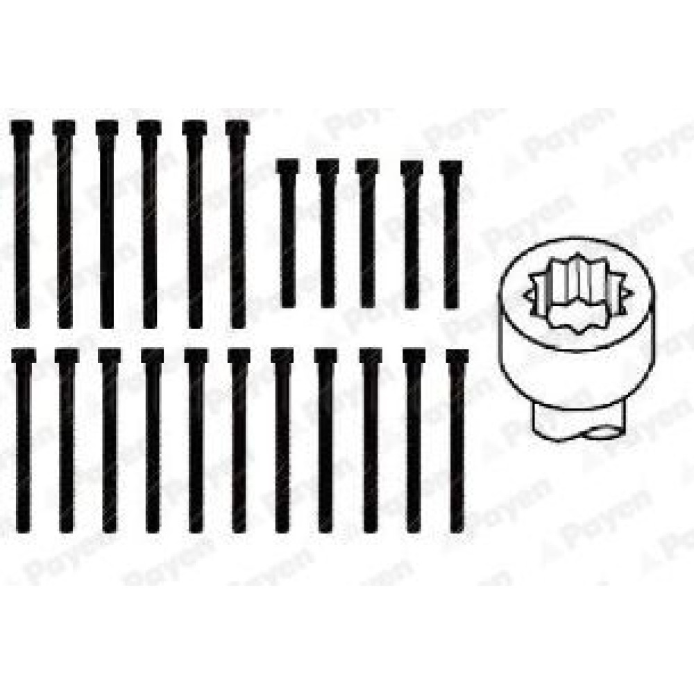 Комплект болтов Payen hbs059
