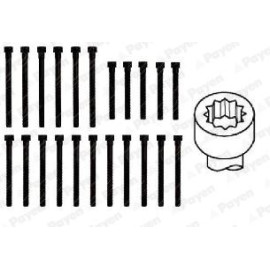 Комплект болтов Payen hbs059