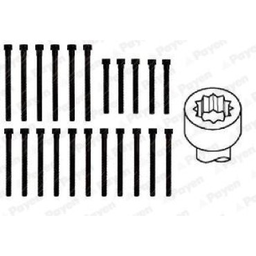 Комплект болтов Payen hbs059