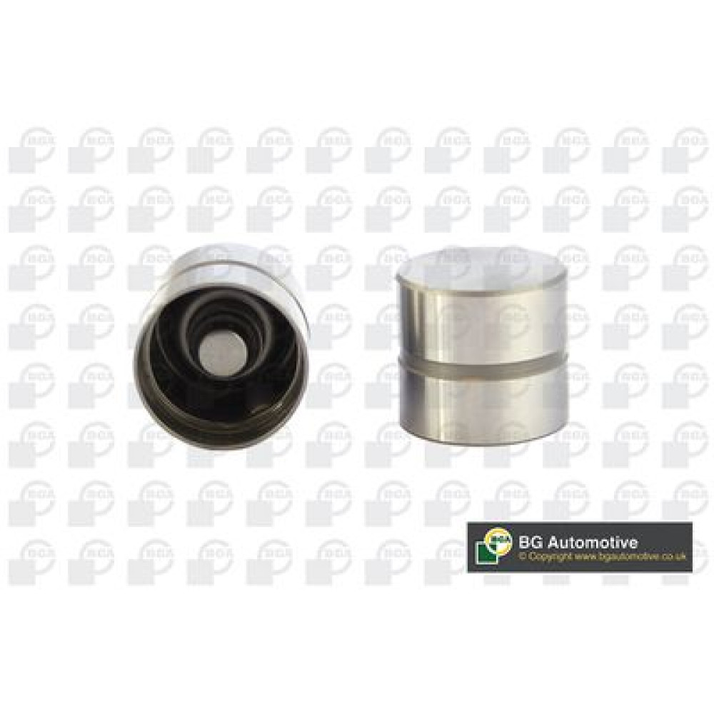 Толкатель клапана BGA hl6301