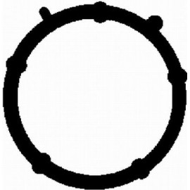 Прокладка колектора впуск Doblo 1.9D (48x45mm) 01- BGA mg2531