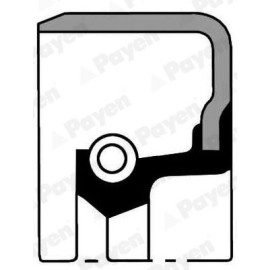 Сальник двигателя Payen nj036