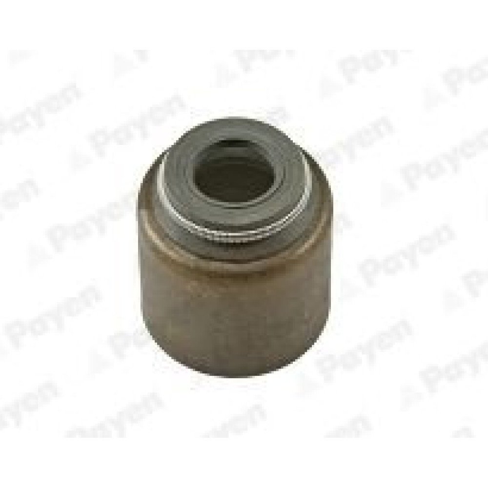 Сальник Payen pa203