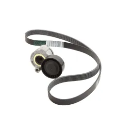 Комплект ремня генератора RENAULT 117203694r