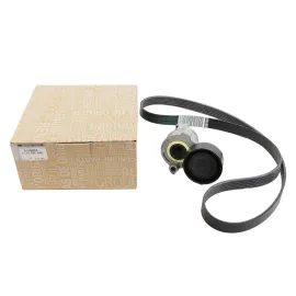 Комплект ремня генератора RENAULT 117203694r