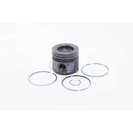 Поршень RENAULT 120a13546r