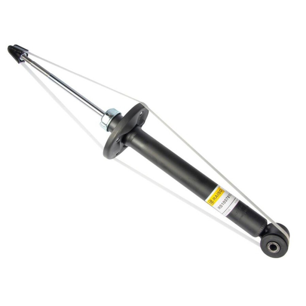 Амортизатор задній газ RAISO rs105781g