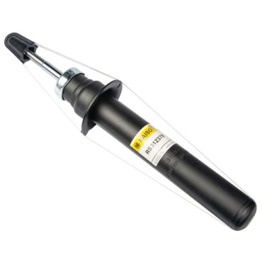 Амортизатор передний газовый RAISO rs312379
