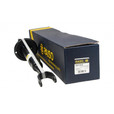 Амортизатор передний газовый RAISO rs312638