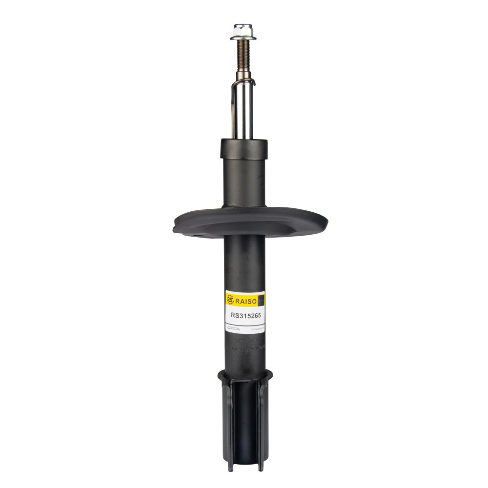 Амортизатор передній Dokker/Lodgy 1.2-1.6 12- (газ.) RAISO rs315265
