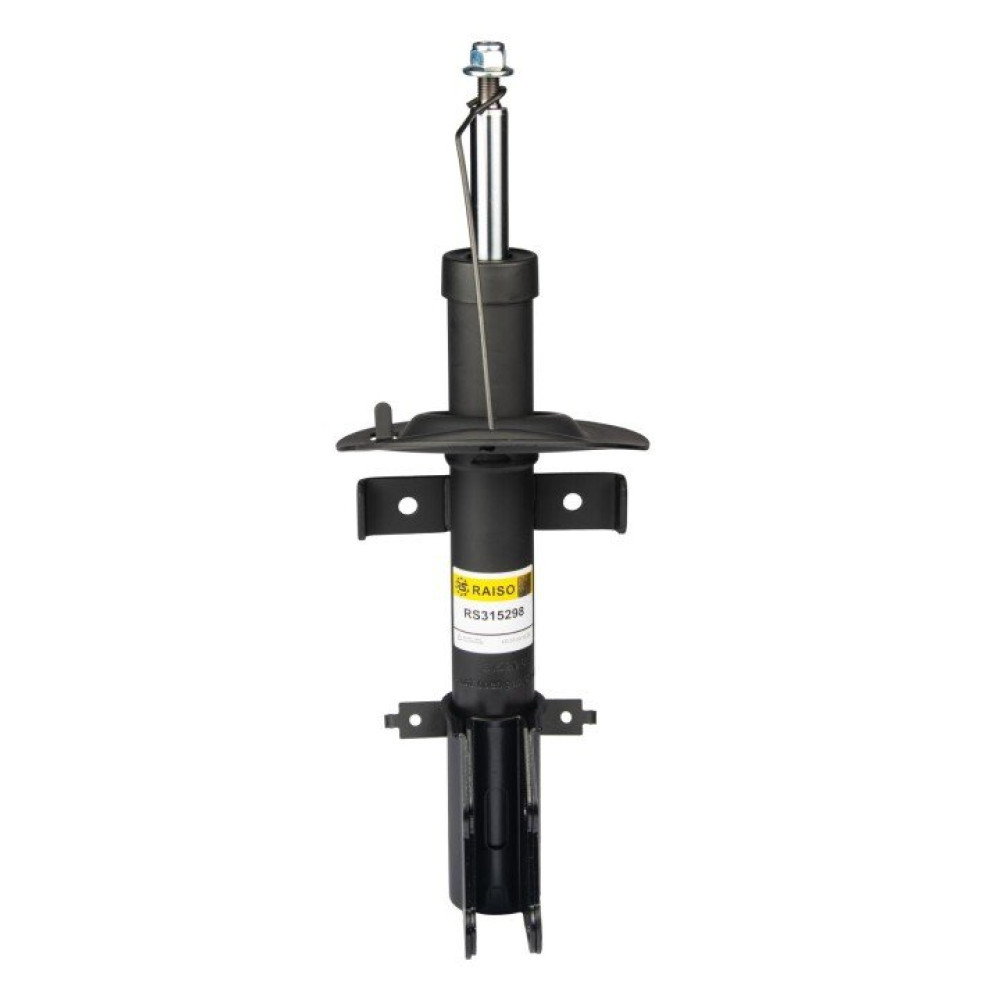 Амортизатор передний RAISO rs315298